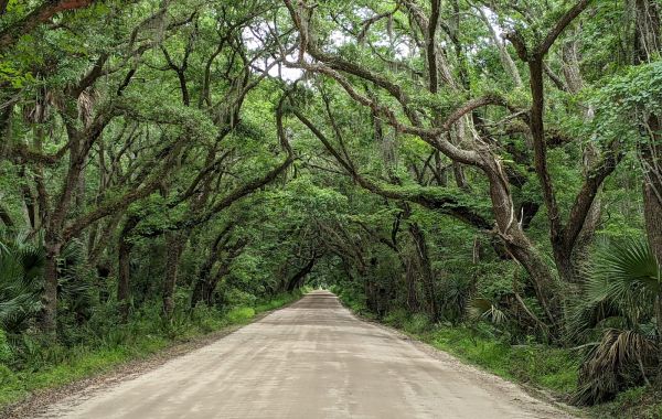 Botany Bay Plantation Heritage Preserve
