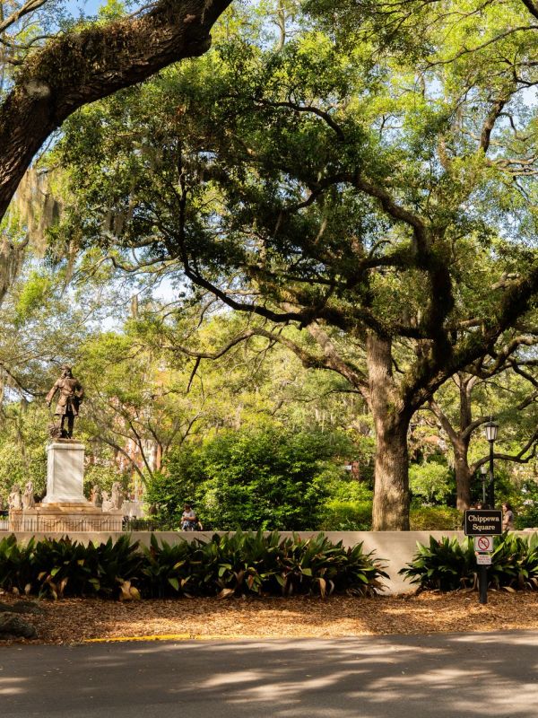 Savannah