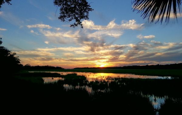 Edisto Beach State Park