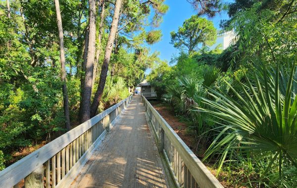 Folly Field Beach Park